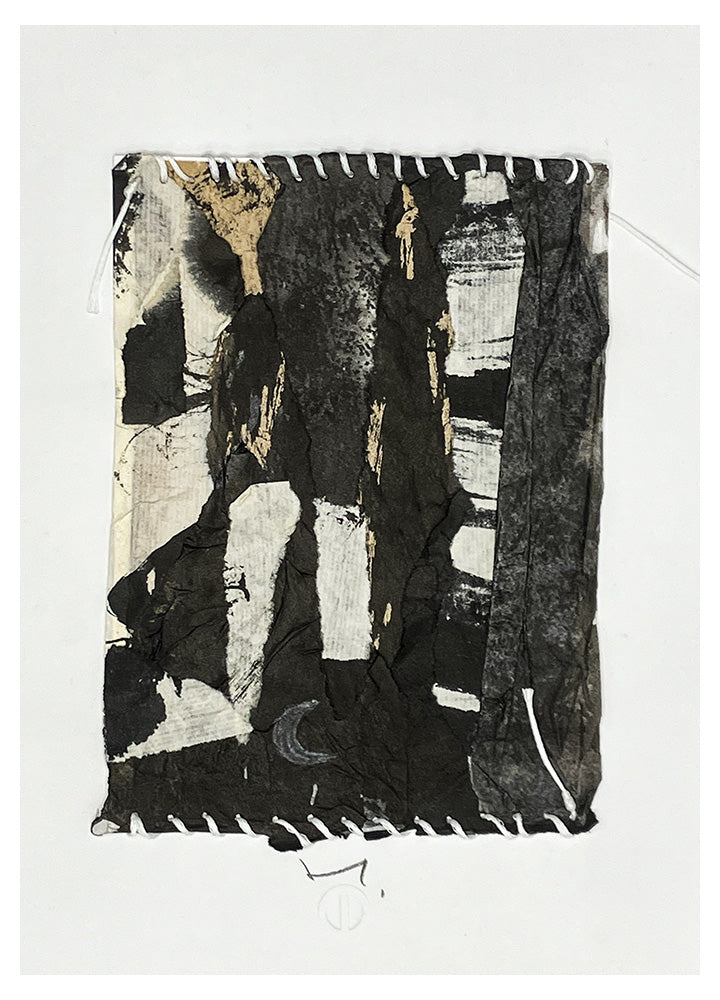 Palimpseste 2