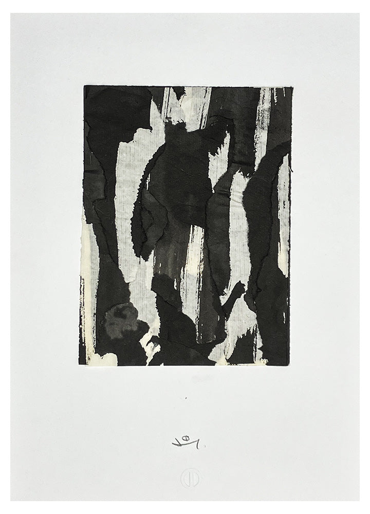 Palimpseste 5