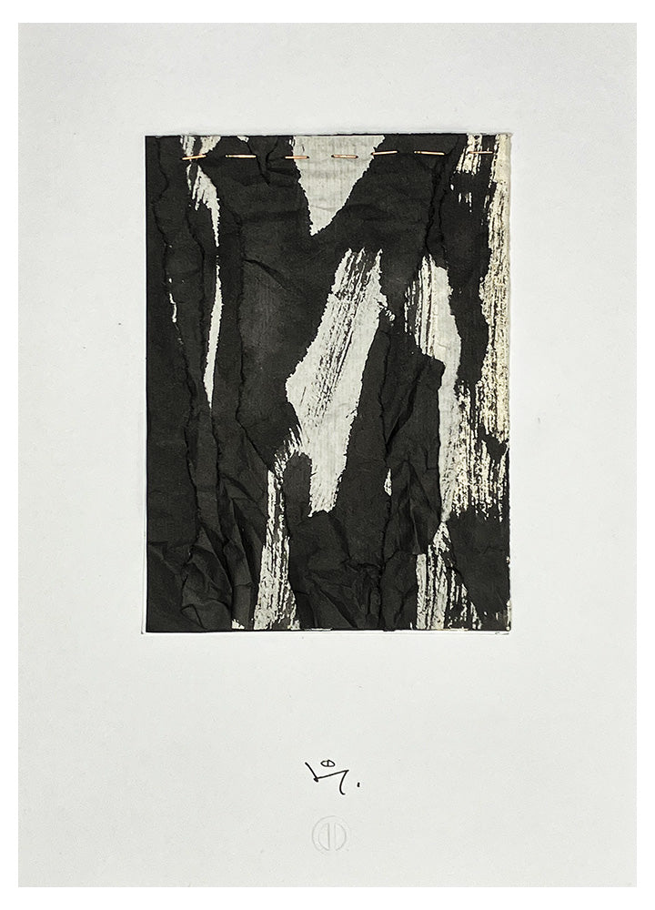 Palimpseste 6