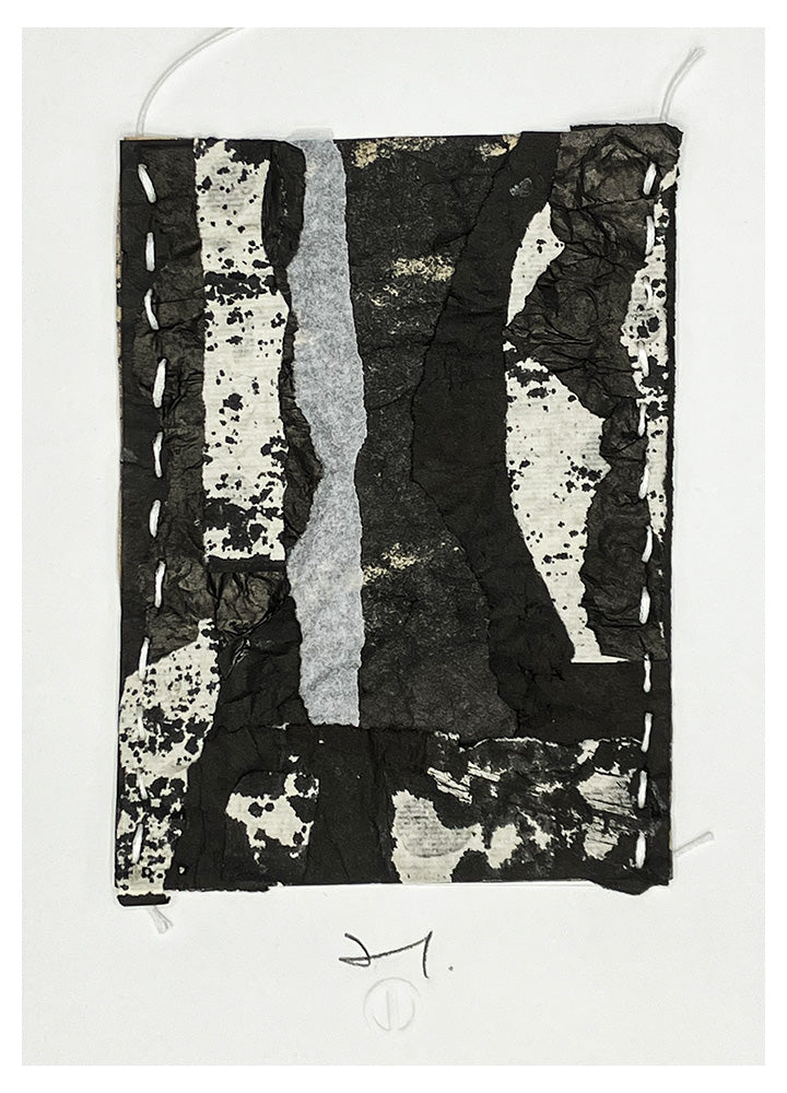 Palimpseste 3